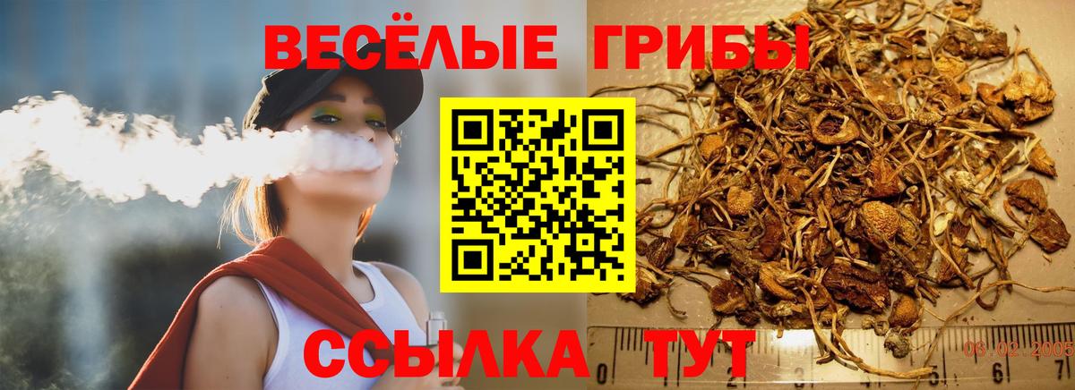 Галлюциногенные грибы GOLDEN TEACHER  Вход с VPN  Вятские Поляны 